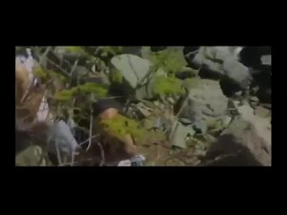 lonely gay extreme compilation